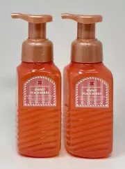 2 BATH & BODY WORKS SNOWY PEACH BERRY GENTLE CLEAN FOAMING HAND SOAP WASH PUMP