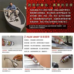 美國FLEX SHOT速效填縫膠（亮黑色／附噴嘴）