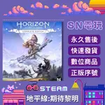 【SN電玩】地平線:期待黎明  HORIZON ZERO DAWN PC全球STEAM！正版官方序號版！