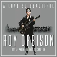 在飛比找誠品線上優惠-A Love So Beautiful: Roy Orbis
