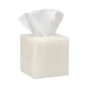 Pigeon & Poodle Abiko Tissue Box