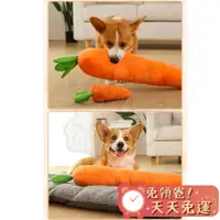 在飛比找蝦皮購物優惠-【台灣賣家】 蘿蔔玩具 狗狗玩具 發聲玩具 寵物玩具 發聲玩