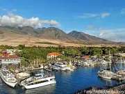 Boats in the Harbor, Lahaina, Maui, Hawaii - Color Photo Print