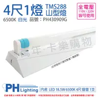 在飛比找PChome24h購物優惠-PHILIPS飛利浦 LED TMS288 T8 18.5W