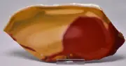 MOOKAITE Polished Slice, FOSSIL RADIOLARIAN Western Australia S589