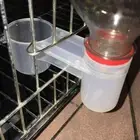 Pet Bird Plastic Drinker Feeder Water Bottle Cup cat Chicken Pig_;k