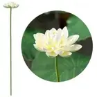 Artistic Landscape Artificial Flower Long Stem Lotus Leaf Wedding Decoration