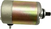 [Motercyole Parts] Anlasser Starter Motor for GY6 250cc for GY6 CH 250cc CH250CC ATV Dirt Bike [Easy to Replace]