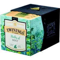 在飛比找樂天市場購物網優惠-Twinings 唐寧茶 鉑金系列 薄荷圓舞曲茶(2gx15