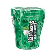 Ice Breakers Ice Cubes Spearmint Gum 40 Pieces 16 Bottles Free Shipping