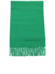 Alexander Mcqueen Luxurious Cashmere Scarf With Embroidery