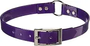 OmniPet Sunglo Ring in Center Dog Collar, 1 x 27, Purple