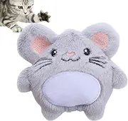 Molar Catnip Toy,Bite Resistant Catnip Toys Cat Toy for Cats | Cats Molar Catnip Ball Teeth Clean, Cats Molar Teeth Clean Teeth Game Pet Toy KOT-au