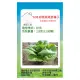 【蔬菜工坊】A98.綠翡翠萵苣種子2.8克(2200顆)