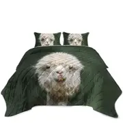 Funny Photo of Llama Coverlet