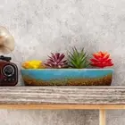 Assorted Artificial Succulents Fake Plants in Rectangular Glazed Ceramic Pot ...