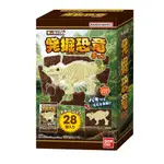 【日本代購-妙本鋪】日本好市多COSTCO 萬代發掘恐龍 發掘恐龍巧克力 恐龍化石巧克力 榛果巧克力白巧克力 食玩零食