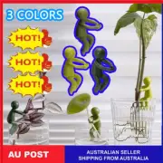 Shoots Plant Propagation Hold 1/3/6/9PCS DY