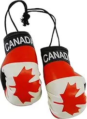 Canada Mini Boxing Gloves Country Pride Flag CAR Truck AUTO