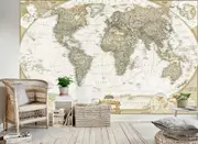 Geography World Map Removable Wall Mural