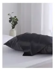 [Natural Home] Luxe Mulberry 25 Momme Silk Pillowcase 2 Pack in Charcoal