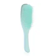 TANGLE TEEZER - The Wet Detangling Fine & Fragile Hair Brush - # Mint