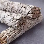 White Sage Smudge Stick Bundle Healing Energy Cleansing Restore Positive Vibe