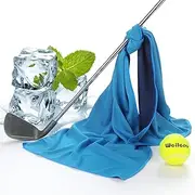 Pack of 5 Cooling Towels, Quick Cooling Towels for Neck and Face, Sweatbands, Cooling Towels, The Coolest Thing is This Gym Towel, Sports Towel to Absorb Sweat. /681(Light Blue,Carrying Bottles)