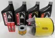 Honda Pioneer 700 SXS700 UTV Complete OE Oil Service Tune-Up Kit 2015 - 2021