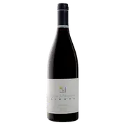 2018 Quinta da Muradella Monterrei Alanda Tinto - Buy Online | The Wine Collective Marketplace