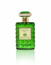 Spirit Of Kings Elevation Spirit Of Kings - 100 ml