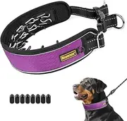 Mayerzon Patented No Pull Collar for Small Medium Large Dogs Beagle German Shepherd Rottweiler, Martingale Anti Pull Dog Collar with Buckle for Walking Training, Reflective, Adjustable, Waterproof