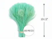 100 Pieces Aqua Green Bleached & Dyed Peacock Tail Eye Wholesale Feathers Bulk