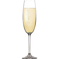 在飛比找momo購物網優惠-【TESCOMA】晶透香檳杯 220ml(調酒杯 雞尾酒杯)