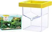 Fish Breeder Box,Floating Fish Isolation Breeding Box - Aquarium Accessories, Suction Cup Hatching Container for Isolating, Acclimating Or Raising