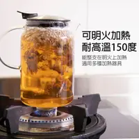 在飛比找蝦皮購物優惠-【Railio】摩登花茶耐熱玻璃壺