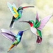 Konohan 3 Pairs Hummingbird Screen Door Magnets Double Sided Patio Flexible Magnetic Screen Saver Decorative Retractable Window Magnetic Decals for Sliding Patio Door(Classic)