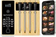 Smart Wireless Meat Thermometer 4 Probes, Bluetooth Food Thermometer, Remote NEW