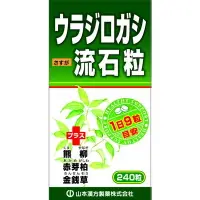 在飛比找比比昂日本好物商城優惠-山本漢方 裏白樫 熊柳 赤芽柏 野桐 金錢草複合錠 240錠