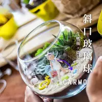 在飛比找蝦皮購物優惠-CARMO平底斜口玻璃瓶 多肉植物盆器裝飾｜微景觀玻璃