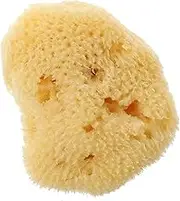 TEHAUX Natural Ocean Artist Sponges, 1.5-2inch Synthetic and Natural Silk Sponges Natural Sea Sponge Paint Sponges for Acrylic Painting