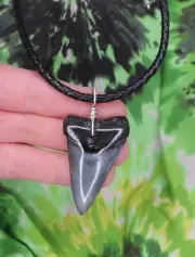 Mako Sharks Tooth Necklace fossil sharks teeth tooth