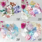 12 Grid Box - Iridescent Shell Slices Irregular Nail Art Shell Piece Paint Funny