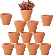 Yishang 1.9 Inch Tiny Terracotta Pots Pack of 12-Small Mini Clay Pots with Drainage Holes Flower Nursery Terra Cotta Planter for Tiny Cactus Herb lithop,Succulent Plants,Crafts,Wedding Favor