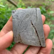 145.7g Altay Iron Meteorite Space Meteorite Slice