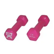 Fabrication Enterprises 10-0550-2 1 lbs Vinyl-Coated Iron Dumbbell Pink - 1 ...