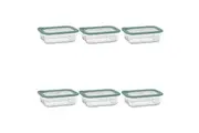 6PK Ecology Store Rectangle Clear Glass Food Storage Container 1050ml Eucalyptus