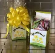 Get Well Soon Hi-Chew Assorted Candy Gift Basket-Box Wrapped With Yellow Bow