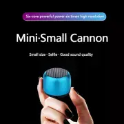 Mini Portable Wireless Bluetooth Speaker Small Selfie Loud Sound Radio Player