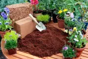 Coconut Peat Coco Coir Fiber Plant Seed Starter Hydroponic Growing Free Shipping